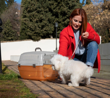 Quality Dog Houses: Top Picks for Comfort and Durability from Outdoor Style Co. - Outdoor Style Company