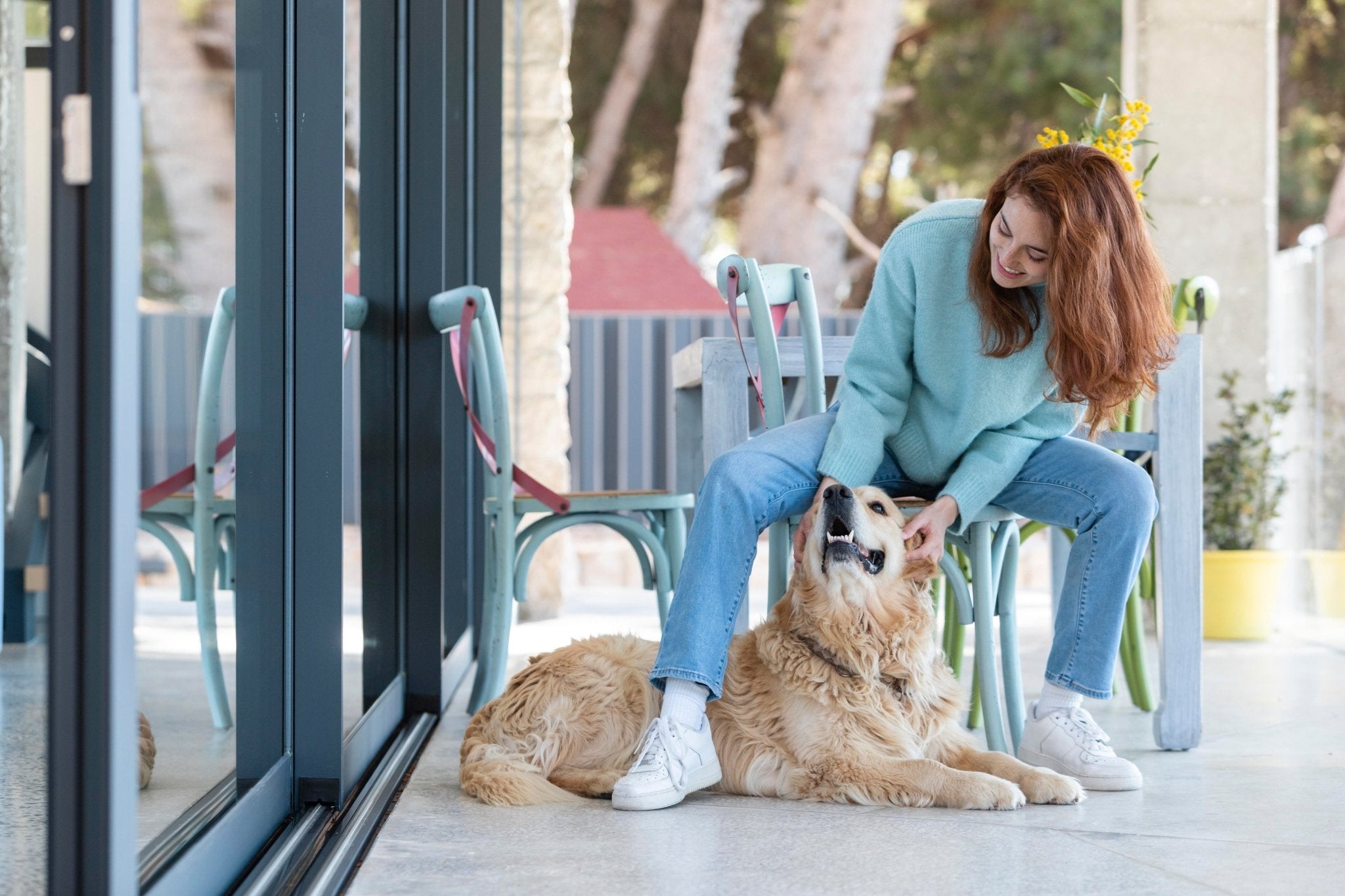 Pamper Your Pooch: The Ultimate Guide to the Best Dog Kennels - Outdoor Style Company