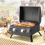  - 2 - Burner Propane Gas Grill 20000 BTU Outdoor Portable with Thermometer - Outdoor Style Company