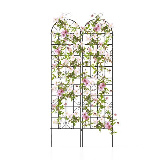  - 2 Pack Metal Garden Trellis Decorative for Climbing Plants - Outdoor Style Company