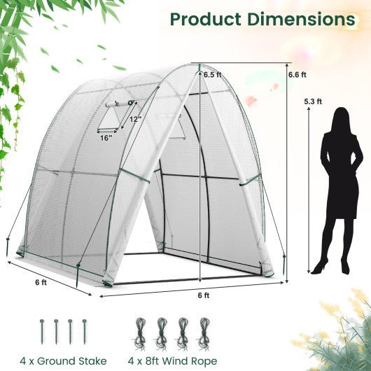  - 6 x 6 x 6.6 FT Outdoor Wall - in Tunnel Greenhouse - Outdoor Style Company