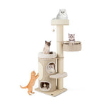  - 61 Inches Cat Tree for Indoor Cats with 2 - stoery Condo and Top Perch - Outdoor Style Company