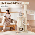  - 61 Inches Cat Tree for Indoor Cats with 2 - stoery Condo and Top Perch - Outdoor Style Company