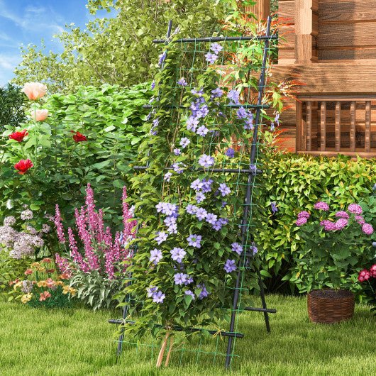  - 74 Inch Tall Garden Trellis for Flower Vine Vegetable Fruit Pea - Outdoor Style Company