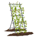  - 74 Inch Tall Garden Trellis for Flower Vine Vegetable Fruit Pea - Outdoor Style Company