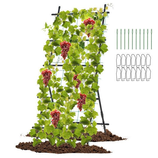  - 74 Inch Tall Garden Trellis for Flower Vine Vegetable Fruit Pea - Outdoor Style Company