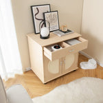  - Cat Litter Box Enclosure with Sisal Scratching Doors and Storage - Outdoor Style Company