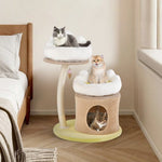  - Cat Tree Small Cat Tower with 2 Removable and Washable Perches - Outdoor Style Company