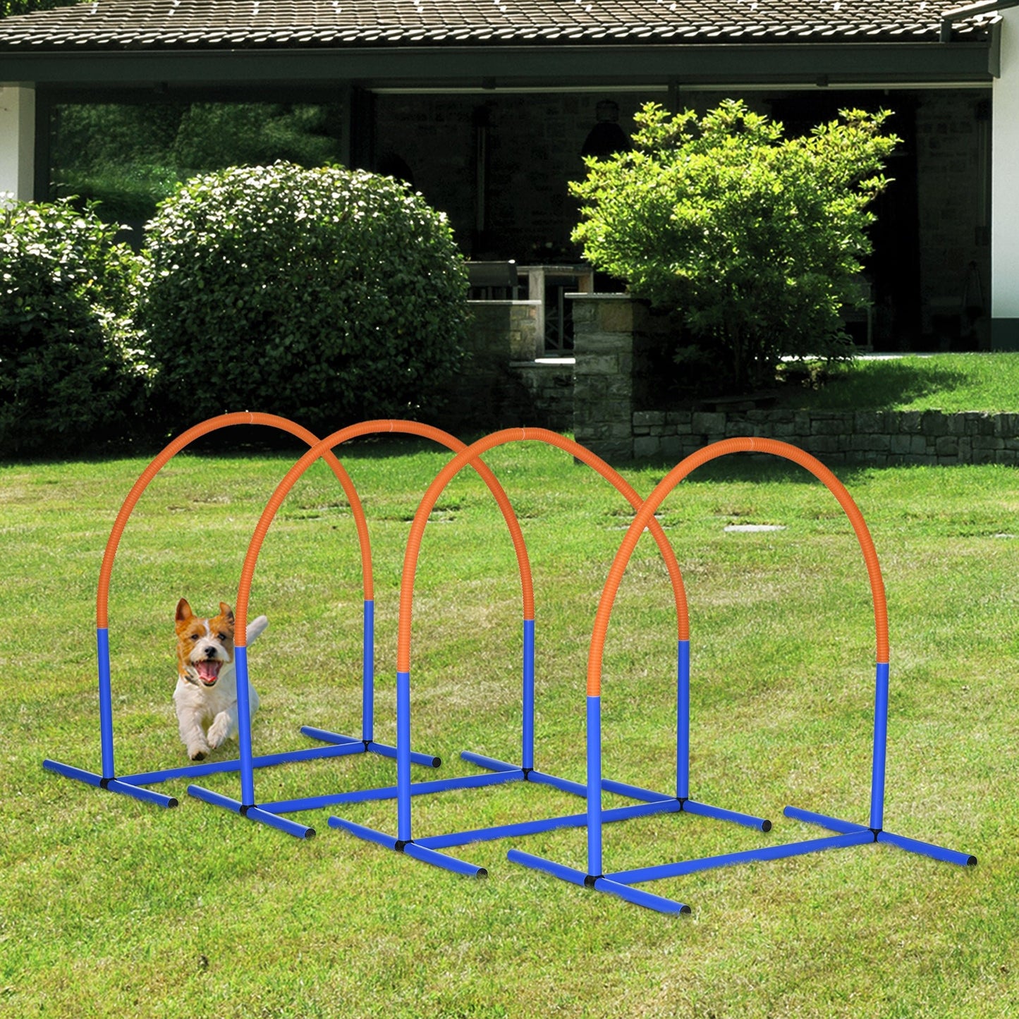 '-PawHut 4 Piece Dog Agility Course for Old Dogs with Carriage Bag, Outdoor Use, Blue - Outdoor Style Company