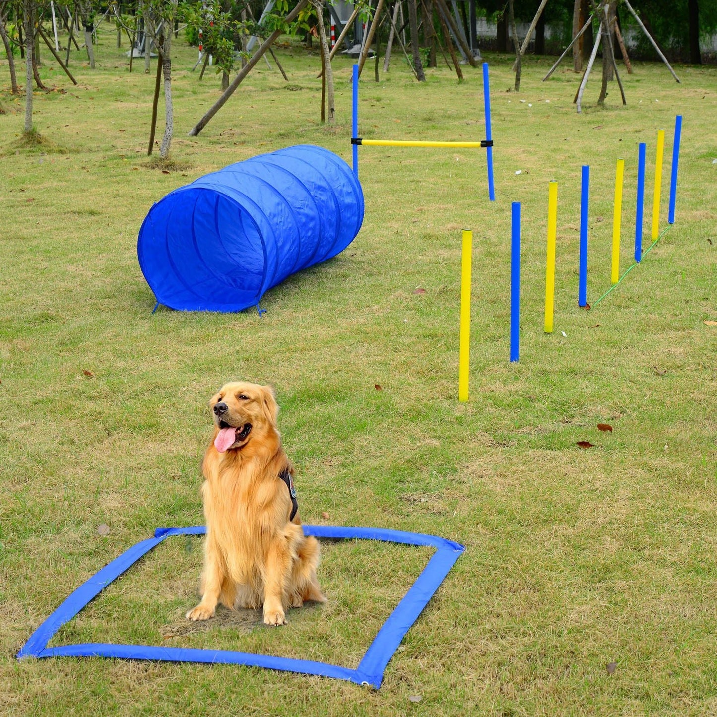 -PawHut 4pc Obstacle Dog Agility Training Course Kit for the Backyard with Slalom Poles Tunnel Jumps & Stop Box - Outdoor Style Company