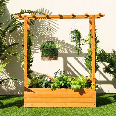  - Raised Garden Bed with Trellis or Climbing Plant and Pot Hanging - Outdoor Style Company