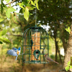  - Squirrel - proof Caged Tube Wild Bird Feeder Outdoor Metal Seed Guard Deterrent - Outdoor Style Company