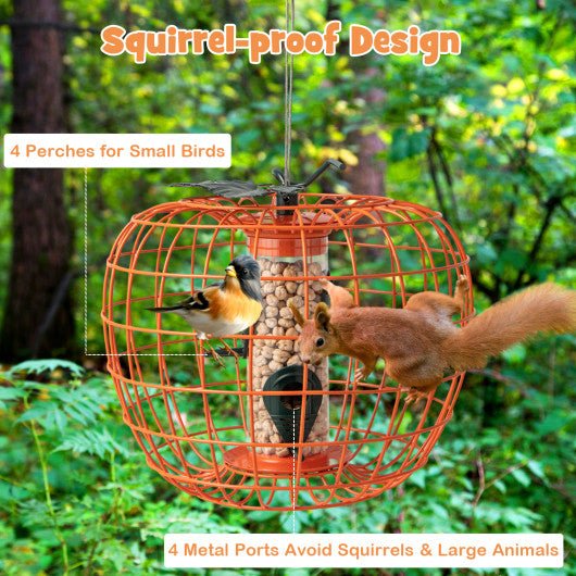  - Squirrel - Proof Pumpkin Bird Feeder with Cage and 4 Metal Ports - Outdoor Style Company