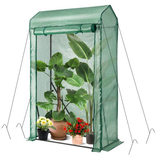  - Walk - in Garden Greenhouse Hot House Tomato Plant Warm House - Outdoor Style Company