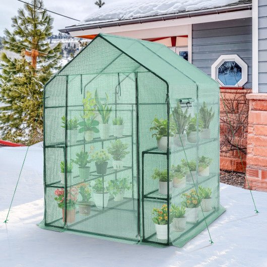  - Walk - in Greenhouse 56 x 56 x 77 Inch Gardening with Observation Windows - Outdoor Style Company