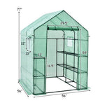  - Walk - in Greenhouse 56 x 56 x 77 Inch Gardening with Observation Windows - Outdoor Style Company