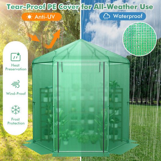  - Walk - In Hexagonal Greenhouse with PE Cover and Metal Frame - Outdoor Style Company