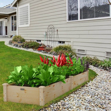  - Wooden Raised Garden Bed Outdoor for Vegetables Flowers Fruit - Outdoor Style Company