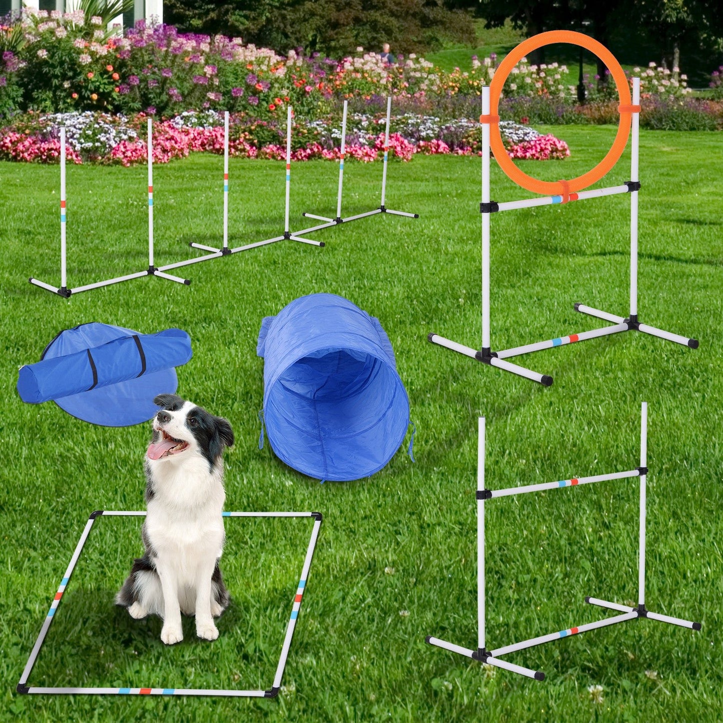 Toys and Games-5 Piece Outdoor Game Dog Agility Training Equipment Set Agility Starter Kit - Outdoor Style Company