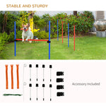 Outdoor and Garden-Dog Agility Training Equipment, Pet Agility Set with Adjustable Height - Outdoor Style Company
