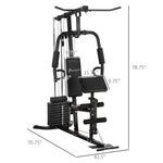Sports and Fitness-Home Gym System, Multifunction Workout Station with 100Lbs Weight Stack for Preacher Bicep Curls, Strength Training Equipment - Outdoor Style Company