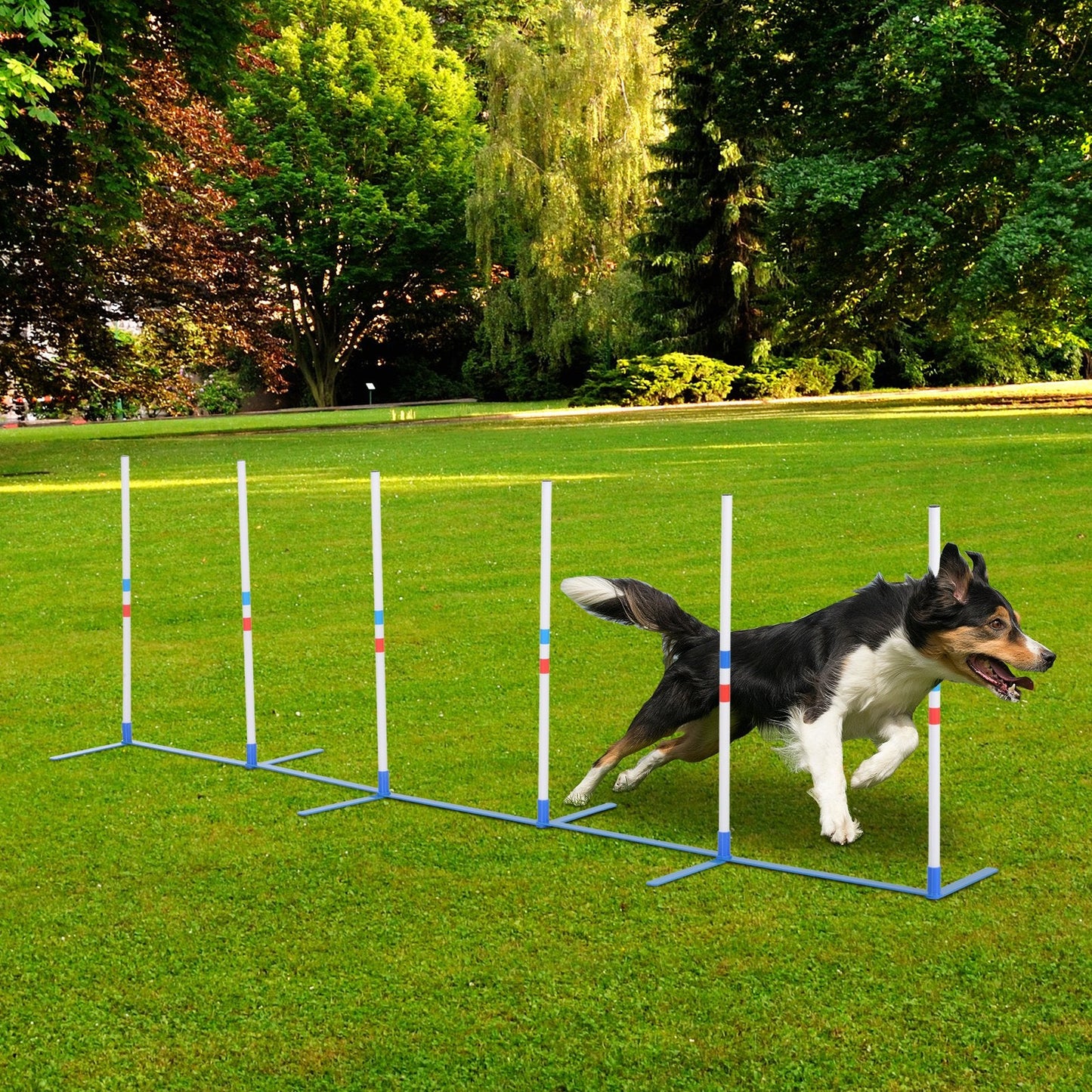-PawHut Agility Weaves Poles, Adjustable Dog Agility Kit Training Course Equipment for Puppy with Storage Bag - Outdoor Style Company