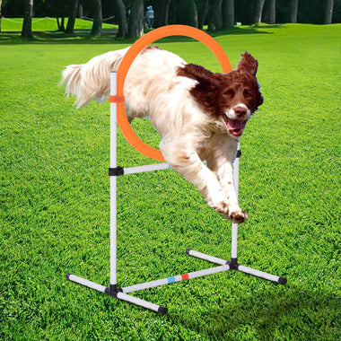 -PawHut Dog Agility Training Jump Ring, Practice Tire/Hoop Jump Set, Hurdle Bar Speed and Agility Equipment for Dogs Puppy Outdoor, White/Orange - Outdoor Style Company